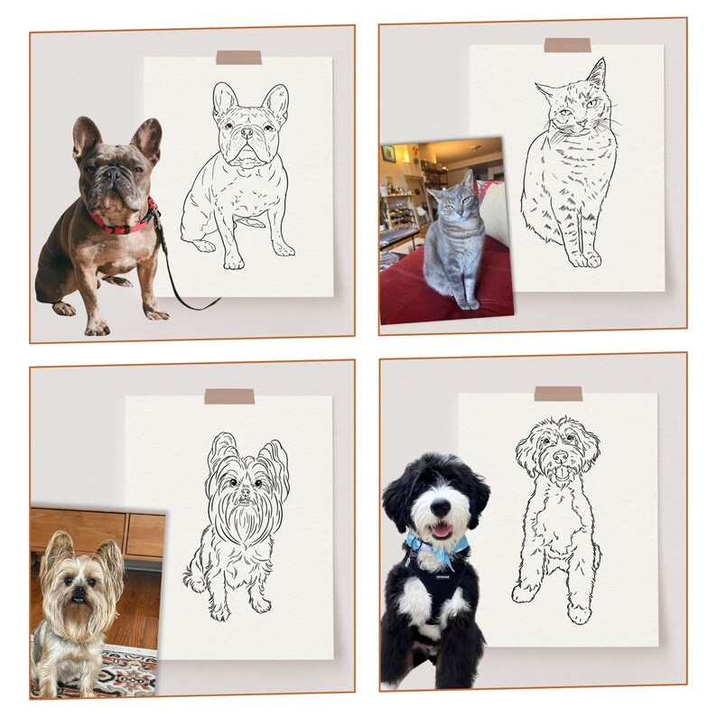 Comparison of the original photo with four pets and their individual full-body line art portraits.