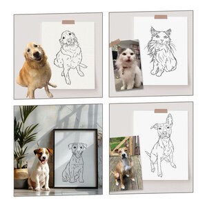 Comparison of the original photo with four pets and their individual full-body line art portraits.