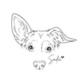 Dog line drawing custom, ear outline, pet portrait ink, DIGITAL FILE ONLY, Tattoo Commission, Realistic face sketch from photo, Peekaboo product logo