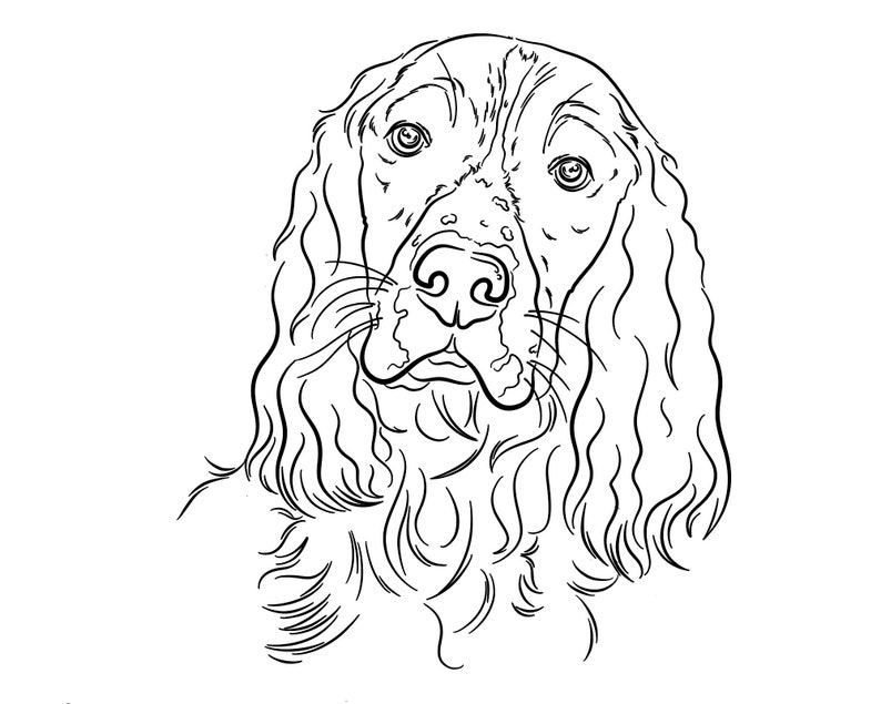 COCKER SPANIEL Outline Dog Line Drawing TATTOO Design Pet Etsy