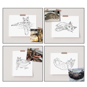 Comparison of the original photo with four cats and their individual full-body line art portraits.