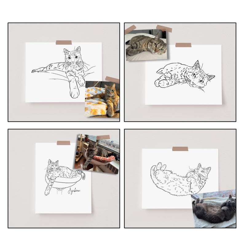 Comparison of the original photo with four cats and their individual full-body line art portraits.