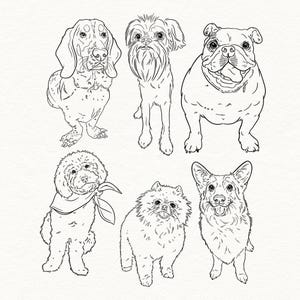 Collage of digital pet line drawings in black on white, showcasing full-body sketches from photos.