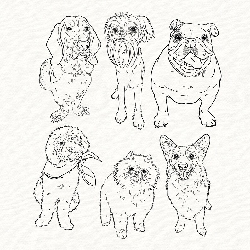 Collage of digital pet line drawings in black on white, showcasing full-body sketches from photos.