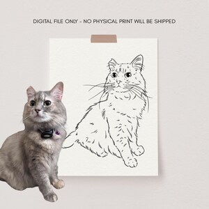 The image shows a long haired cat line drawing next to the reference photo.