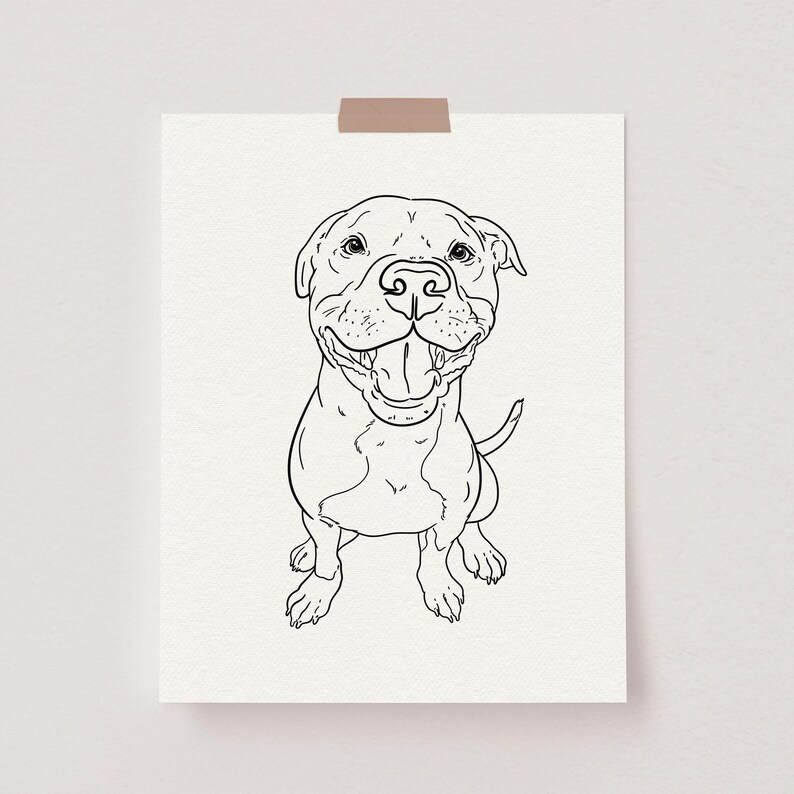 The image shows a custom pet line drawing featuring a Staffy dog in full body.