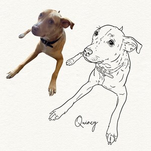 The image shows an Staffordshire Terrier dog drawing next to the reference photo.