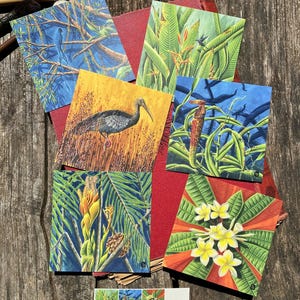 Lot de 6 cartes postales N1 - Plantes tropicales - Dessin naturaliste