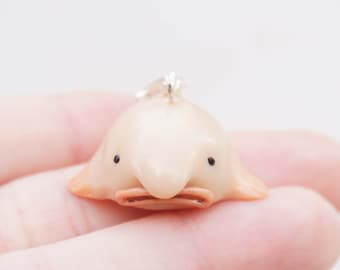 cute baby blobfish