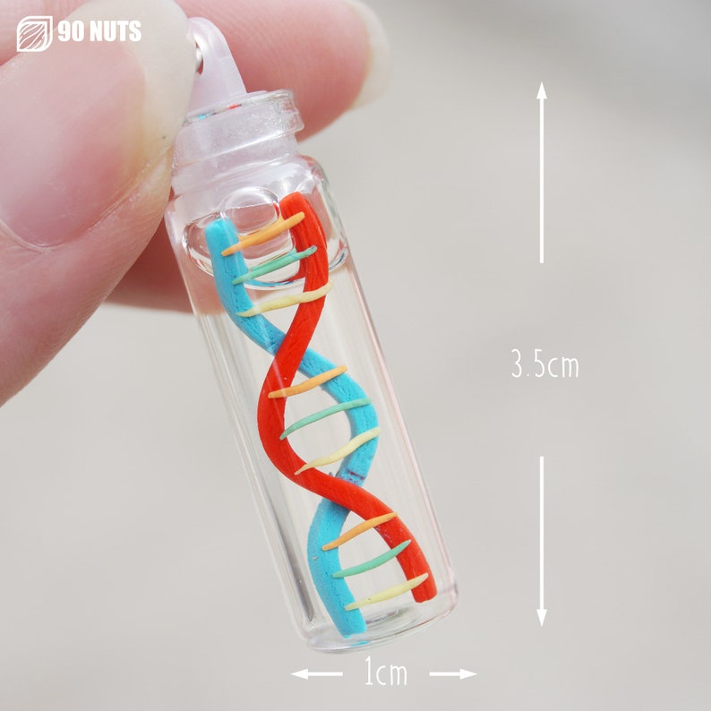 DNA Double Helix Science Medicine Glass Bottle Charm image 3