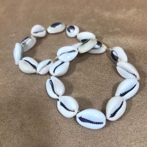 May include: A white shell necklace with a black rim around each shell. The necklace is made of cowrie shells and is strung together with a clear thread.