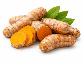 Fresh Turmeric Root, 1 lb Whole Raw Rhizomes, Fresh Root for Tea, Juicing, Smoothies, Cooking, Curry, Non-Dried, Not for Planting