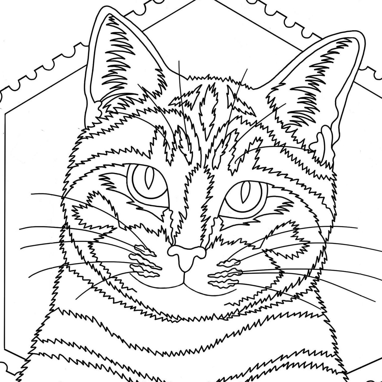 Cat coloring page tabby cat for diy activities | Etsy