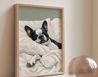 May include: A black and white Boston Terrier dog sleeping in a white bed with a green background. The dog is curled up with its head resting on a white pillow.
