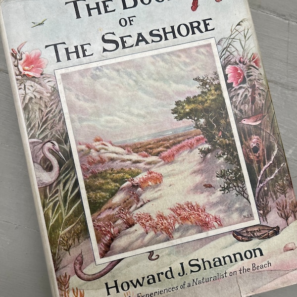 Buch der Meeresküste Die Lebenserfahrungen eines Naturalisten am Strand Howard Shannon 1931