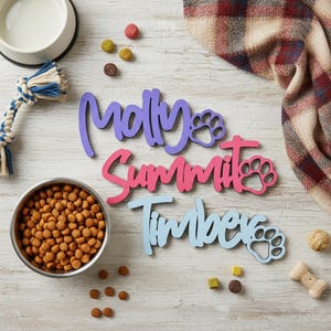Personalized Dog Name Sign With Paw Bone | Custom Wooden Pet Name Sign ...