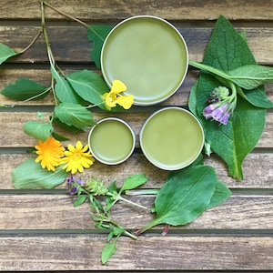 Wildcrafted Jewelweed Salve
