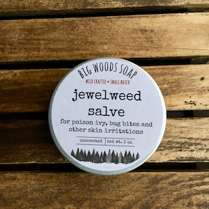 Wildcrafted Jewelweed Salve image 6