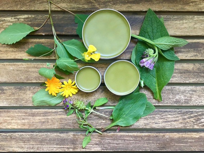 Wildcrafted Jewelweed Salve image 1