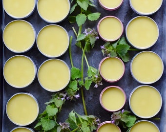 Wildcrafted Purple Dead Nettle Salve