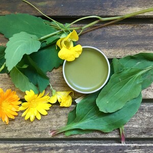 Wildcrafted Jewelweed Salve image 3