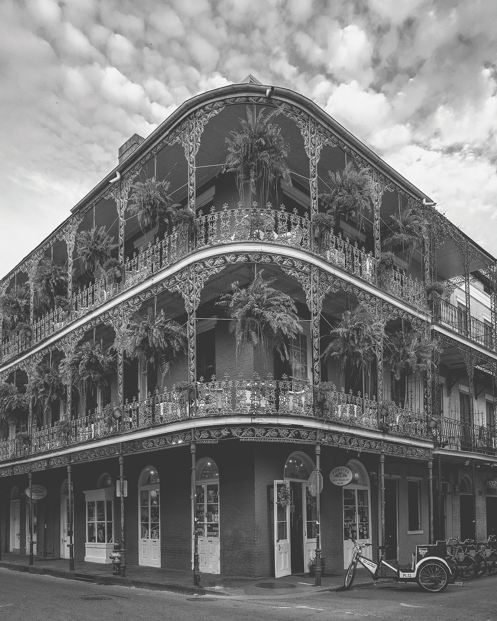 New Orleans Wall Art 3 Piece Black and White Gallery Wall Etsy