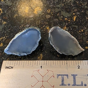 May include: Two polished, blue-grey agate slices with a natural edge. The slices are next to a ruler, with the largest slice measuring approximately 2 inches in length. The agate has a translucent quality, revealing subtle patterns within.