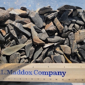 May include: A collection of fossilized shark teeth in various sizes and shades of gray, brown, and black. A ruler with the text "L. Maddox Company" is at the bottom, with measurements in inches.