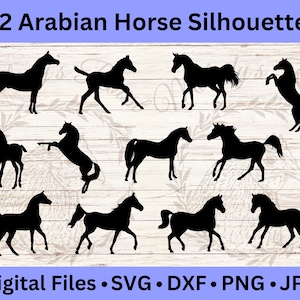 Silhouettes de cheval arabe, SVG équestre, clipart cheval de course, machines de découpe, travaux manuels