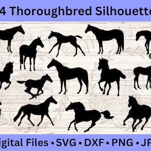 Thoroughbred Horse Clipart Bundle, Running Horse SVG, Animal Silhouette Cut Files, Instant Download