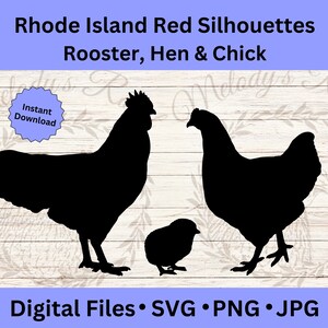 Rhode Island Red Chicken Clipart, Materiali artigianali stampabili, Animali da fattoria SVG, JPG