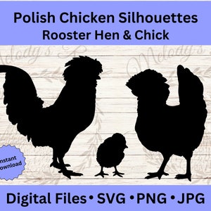 Polonais poulet numérique Clipart, SVG drôle d’animaux de la ferme, volaille couper fichier, dessins PNG