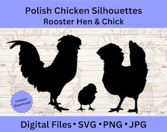 Polish Chicken Digital Clipart, Funny Farm Animal SVG, Poultry Cut File, PNG Designs