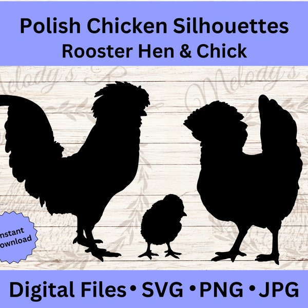 Polish Chicken Digital Clipart, Funny Farm Animal SVG, Poultry Cut File, PNG Designs