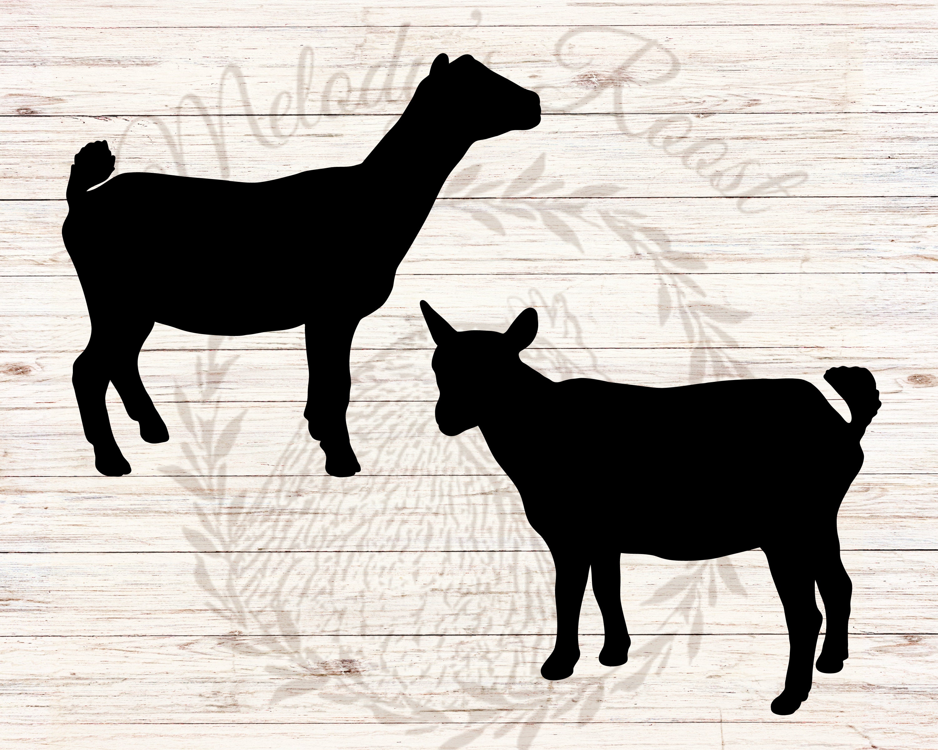 Nigerian Dwarf Goat SVG Bundle, Cute Farm Clipart, Livestock Cricut SVG ...