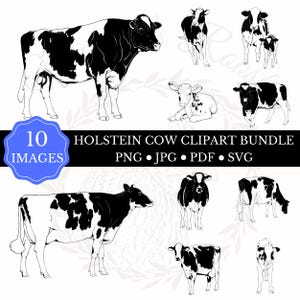 Holsteinko Clipart-paket, svartvita ko-illustrationer, mjölkko, bondgårdsdekor, boskapsutställning