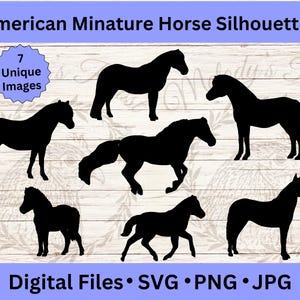 Silhouettes de chevaux miniatures, fichiers SVG pour Cricut, animaux de la ferme, vecteur de Mini cheval, téléchargement numérique