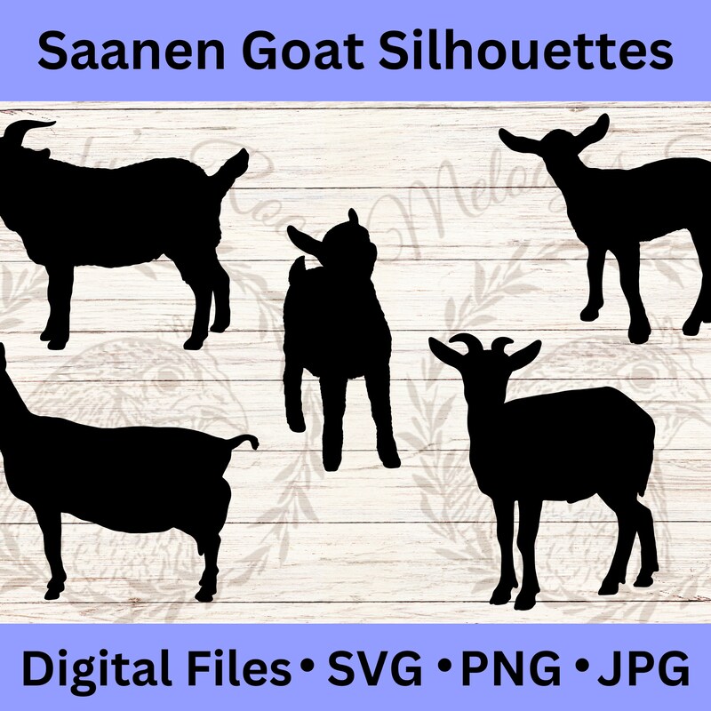 Vector Show Goat Show Goat Clip Art - Etsy