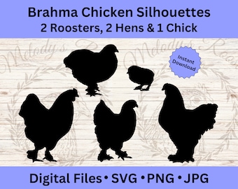 Söt Brahma kyckling SVG-paket, husdjursälskare, hantverksmaterial, höna SVG, tupp PNG, gårdsdjur Clipart