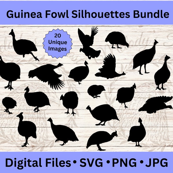 Guinea Fowl Vector Files, Farm Animal Clipart, Bird PNG, Animal Silhouette SVG Bundle