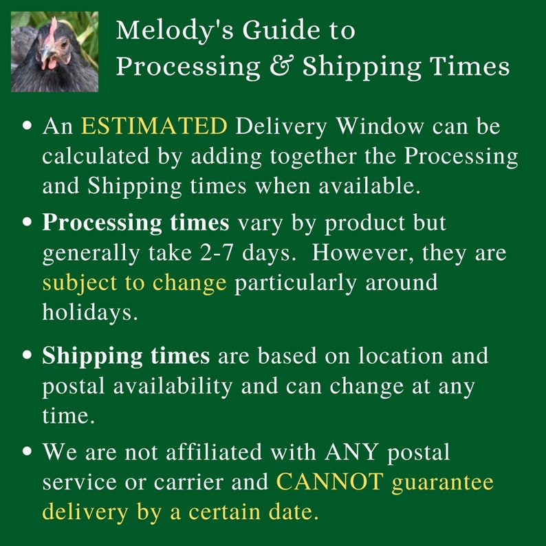 Cottagecore Cozy Throw Blanket Français Country Style Boho Etsy France