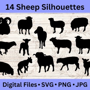 Fichiers SVG de moutons, silhouettes d'animaux, graphiques vectoriels bétail, cliparts animaux de la ferme