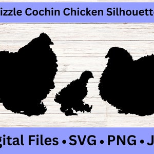 Silhouettes de poulet cochin crépus, fichiers SVG de coq mignon, clipart PNG animal drôle