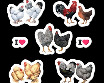 Chicken Stickers, Laptop Stickers, Vinyl Sticker Sheet, Farm Stickers