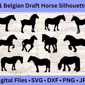 ベルギーのドラフト馬のクリップアート、農場の動物のベクター、国別 SVG、デジタル画像、DXF