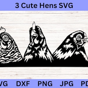 Three hens SVG, Farm Animal Vector Illustration, Chicken Drawing, Design Elements