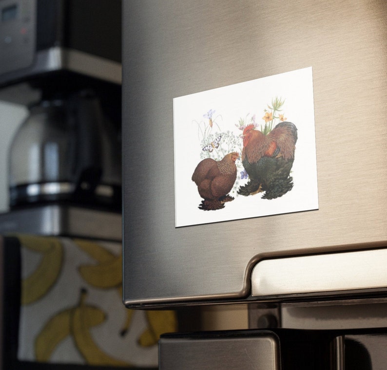 Chicken Fridge Office Decor Decorative Etsy
