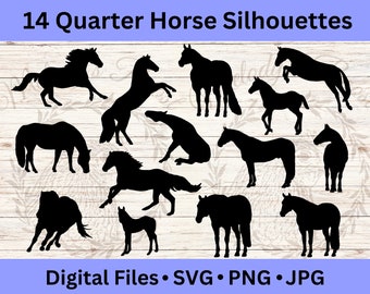 American Quarter Horse Silhouette SVG Bundle, Horse Silhouette Clipart, Western SVG, Farm Animal, PNG