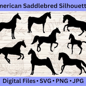 Clipart cheval de selle américain, amateur de chevaux, art de la silhouette, SVG équestre, vecteur de cheval de course