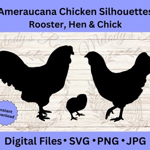Ameraucana Chicken SVG, Rooster & Hen Vector, Farmhouse Clipart, PNG Animals, Chicken Lover, 4h
